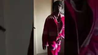 Hide me the police coming grandma bee