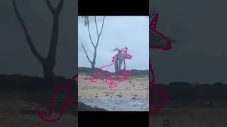 Beautiful nature art 🦄 #art #beach #unicorn #horse #natureart #hawaii #hawaiibeaches #3dart