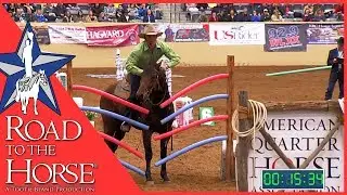 Must Watch - Famous Aussie Guy McLean at Road to the Horse 2013 - Part One