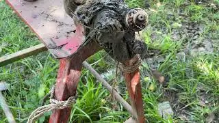 Deep Cleaning Cut,Trimming - Rescued Cow Hoof from hunter's STEEL Screw Trap ON COW FOOT