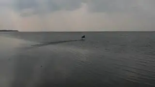 autostrand