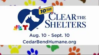 Cedar Bend Humane Society talks about the Clear The Shelter campaign