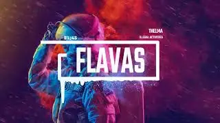 Thelma - Illegal Activities