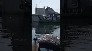 airlaut lebih tinggi dari daratan depan kantor syahbandar tanjung emas semarang
