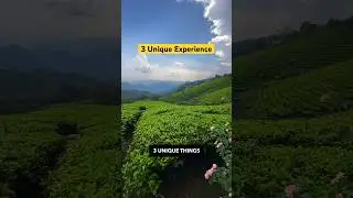 Kerala has unique experience we must have #kerala #keralatourism #mmgshorts