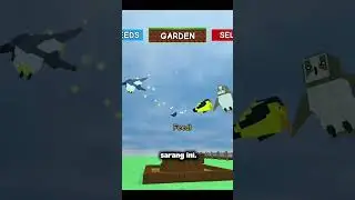 TUTORIAL CARA MENDAPATKAN BIRD EGG DI HUNGRY BIRD EVENT 🦅🦉 - GROW A GARDEN 🌳