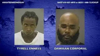 Wanted Wednesday 04/13/2016