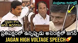 YS Jagan Assembly High Voltage Speech in Front Of CM Chandrababu | Deputy CM Pawan Kalyan | NewsBuzz