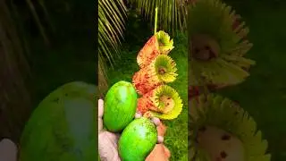 next level mango pickle 🥭 #subscribe #viral #youtubeshorts #shorts #mango