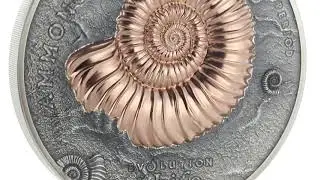 2018 Evolution of Life Ammonite kilo (AllCollect/CIT)