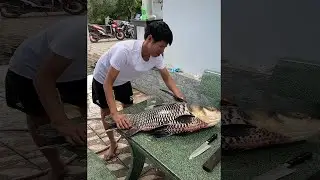 Amazing Cutting Fish - Processing Big Harvest Season 2021 (#7)