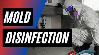Bio-One shares the Five-Step Procedure to Do a Mold Remediation in your Home!