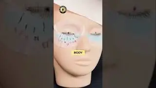Lash Extension Pro Tips! 👀✨