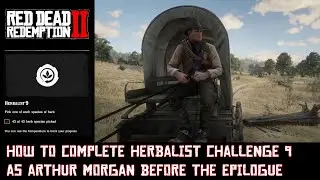 RDR 2: Как пройти испытание травника 9 за Артура Моргана