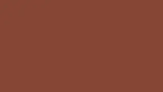 Deep Orange coloured Brown   Ambient Color Screen 10 Hours