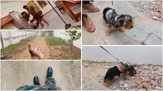 Rajasthan main kheti vlog #youtube #viralvideo #trending #vlogger #vlogs #punjabi 