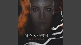Black Raven