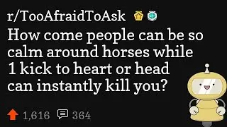How come people can be so calm around horses while 1 kick to heart or head can instantly kill you?