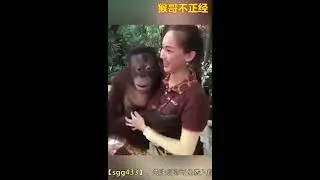 SI MONYET TUKANG GREPE MULU BIKIN NGAKAK!!!