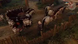 The Witcher 3 after Next Gen update (patch 4.0)