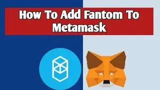 How to add fantom to metamask (Quick & Easy)