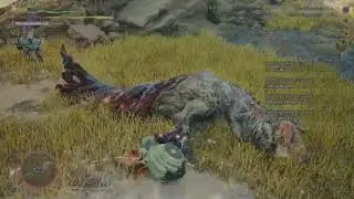 Monster Hunter Wilds Ep: 37