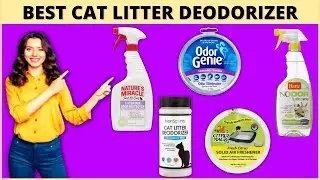 Best Cat Litter Deodorizer for Odor Control(Reduce Nasty Litter Box Smell) - Cute Litter Box
