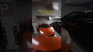 BAKA TURIRA LAMBA, FAN NE VERUJE - BAKA PRASE VLOGMAS #viral #shortvideo #balkan #bakaprase