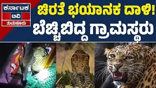ಚಿರತೆ ಭಯಾನಕ ದಾಳಿ! | ಬೆಚ್ಚಿಬಿದ್ದ ಗ್ರಾಮಸ್ಥರು | Leopard | Turuvekere | Karnataka TV Tumkur