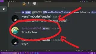 The PS3 emulation (and all other emulator servers) on discord are a joke full of r*tards