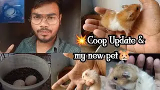 💥என்னுடைய புது Pet 