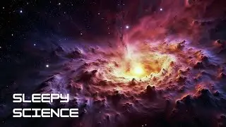 The Cosmic Life of Stars &mdash; Birth, Death, and What Comes After