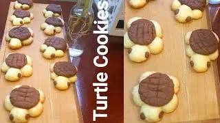 Turtle Cookies 🐢🍪|| Cookie Recipe || How to make cookies