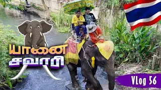 Elephant Safari in Bangkok Chang Puak Farm | Thailand Series in Tamil 4K