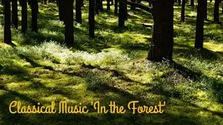 Classical Music 'In the Forest' by M. K. Ciurlionis