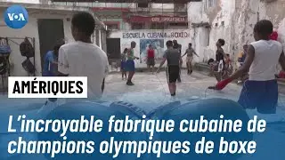 Succ&egrave;s olympiques cubains : l'incroyable histoire des boxeurs de La Havane