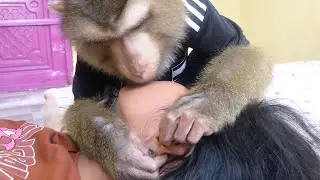 Clever Jason Mannerly Grooming To Clean Earwax Help Mom Relax