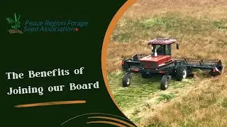 Why Join the PRFSA Board? Insights from a Forage Seed Grower
