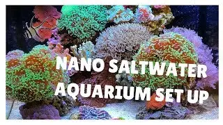 29G Biocube Nano Saltwater Reef Setup
