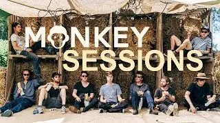 JUNGLE BY NIGHT | The Monkey Sessions