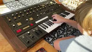 Dance Macabre Yamaha cs20m