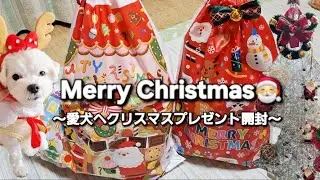 朝起きてクリスマスプレゼントが置いてあったら愛犬はどんな反応をしてくれるかな？