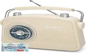 ByronStatics Portable Radio AM FM Vintage Retro Radio with Built in Speakers