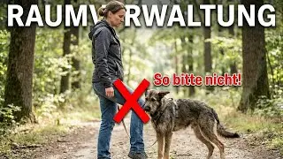 Raumverwaltung – warum sie so oft missverstanden wird