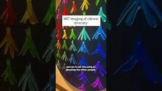 Новое открытие Массачусетского технологического института о клиторе изменит здоровье женщин