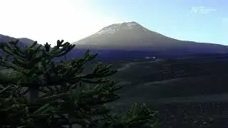 Volc&aacute;n Lonquimay