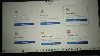 prototype of overthinker website