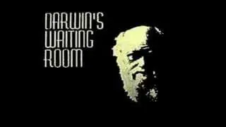 Darwin's Waiting Room - Breathe