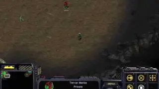 1 Marine vs 1 Zealot