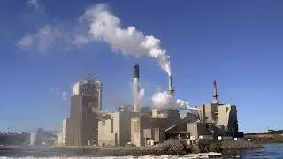 Environmental impact of paper | Wikipedia audio article